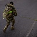 2-113th Norwegian Footmarch