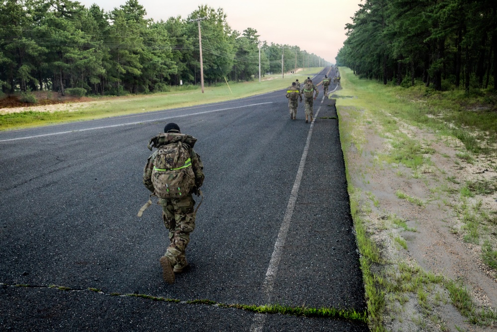 2-113th Norwegian Footmarch