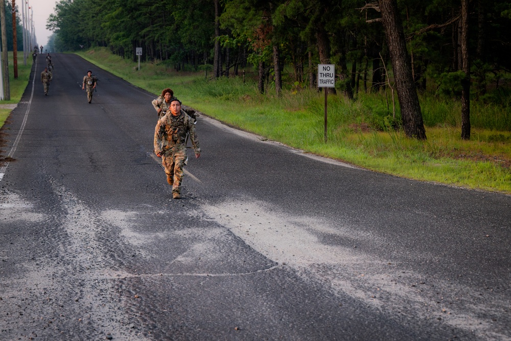 2-113th Norwegian Footmarch