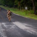2-113th Norwegian Footmarch