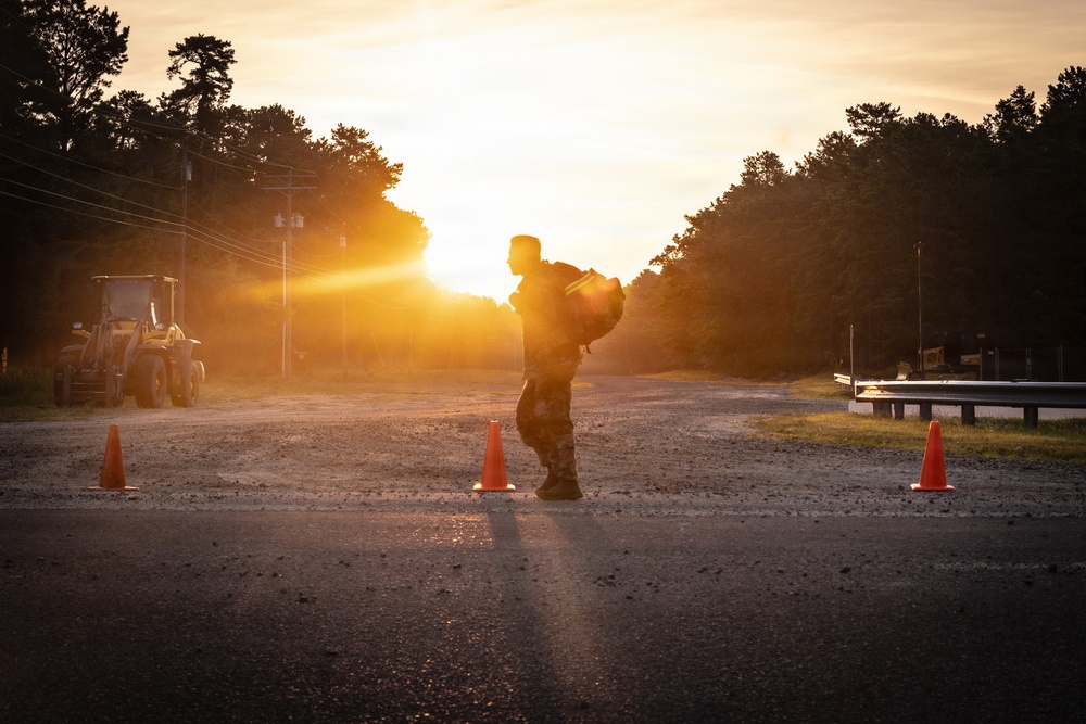 2-113th Norwegian Footmarch