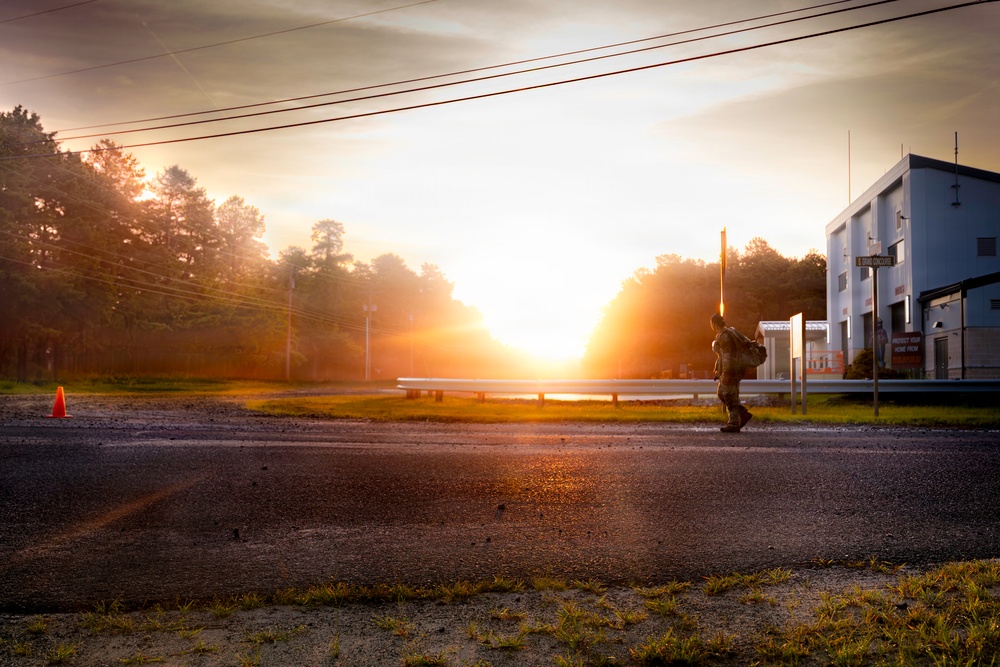 2-113th Norwegian Footmarch