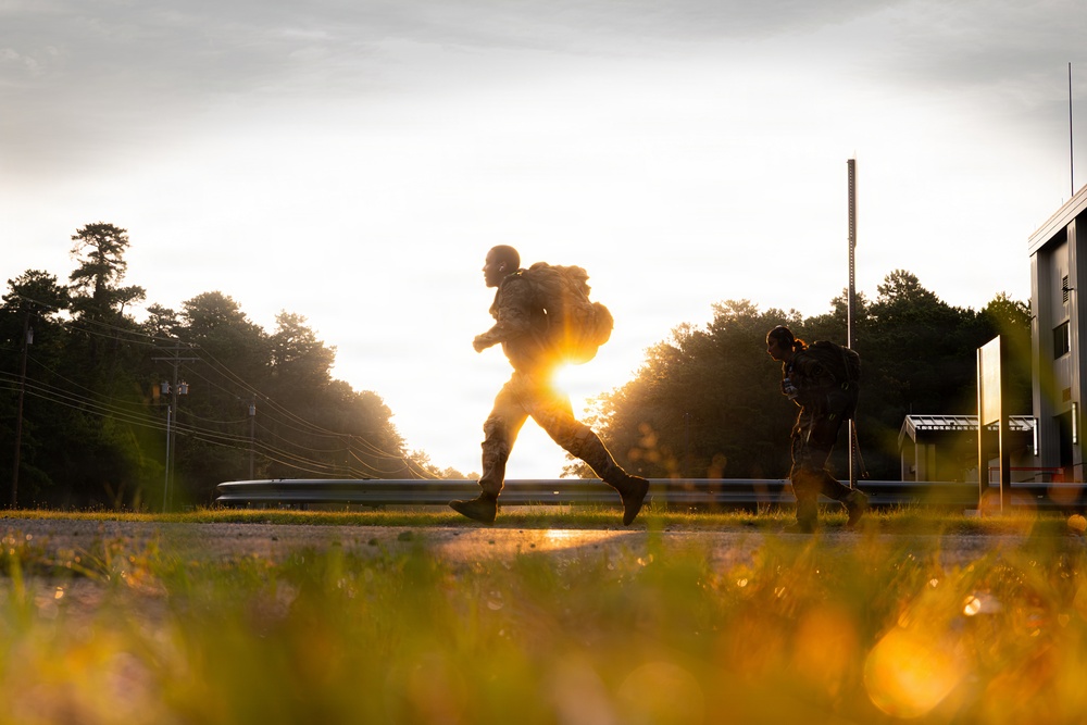 2-113th Norwegian Footmarch