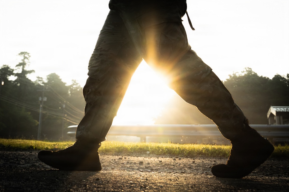 2-113th Norwegian Footmarch