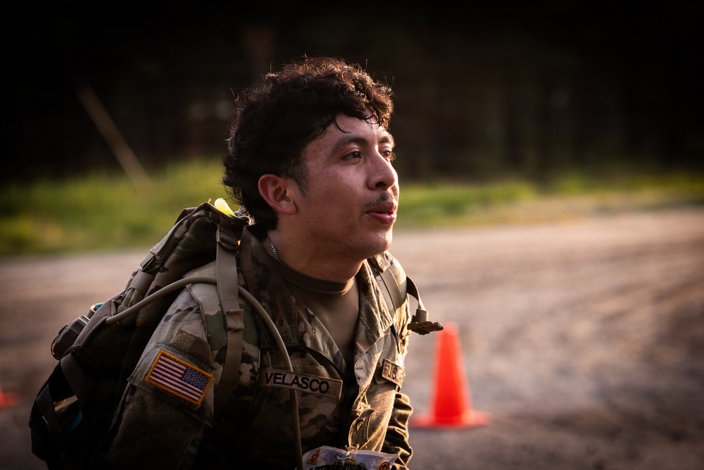 2-113th Norwegian Footmarch