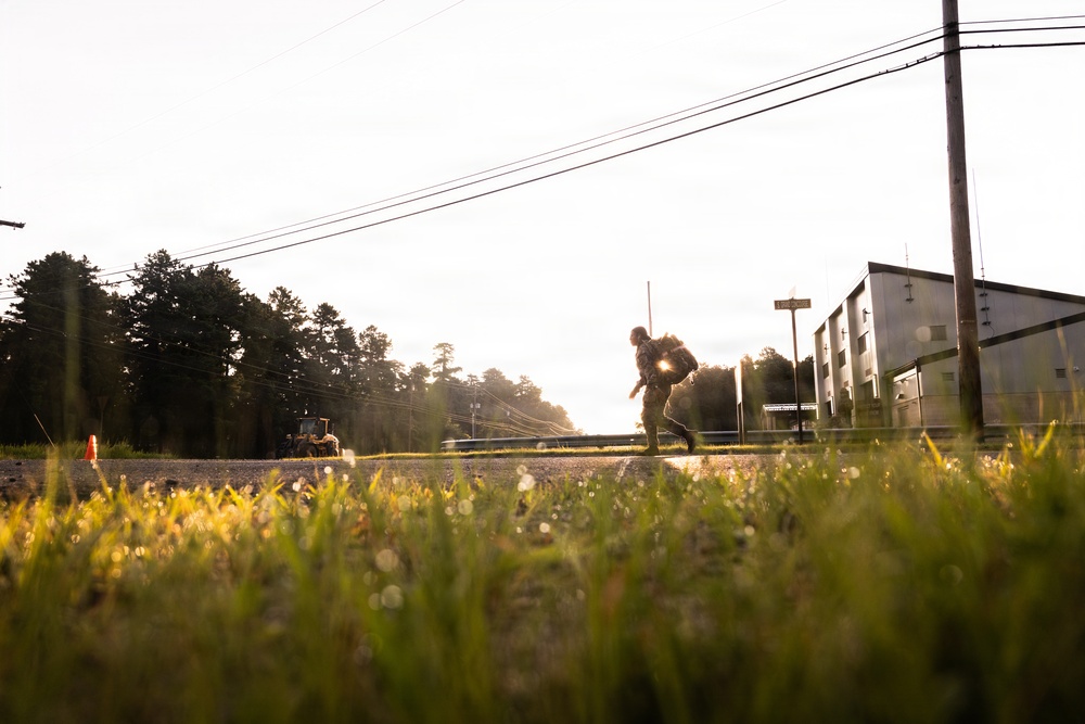 2-113th Norwegian Footmarch
