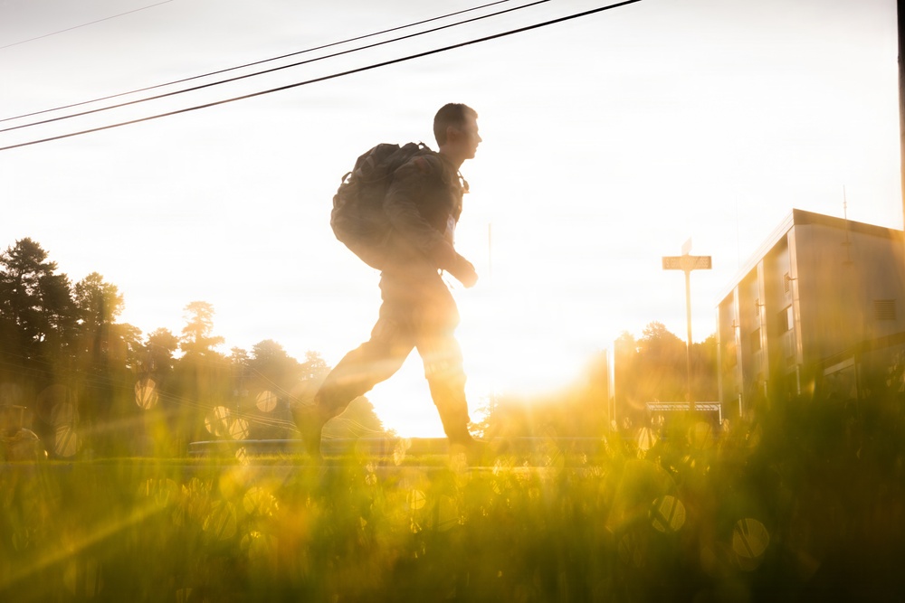 2-113th Norwegian Footmarch
