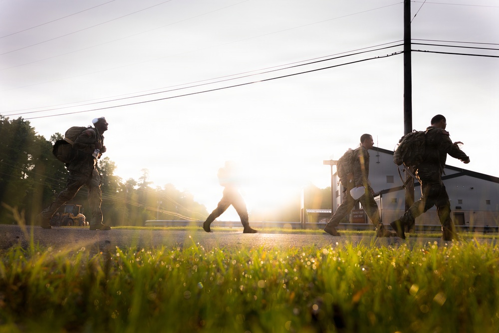 2-113th Norwegian Footmarch