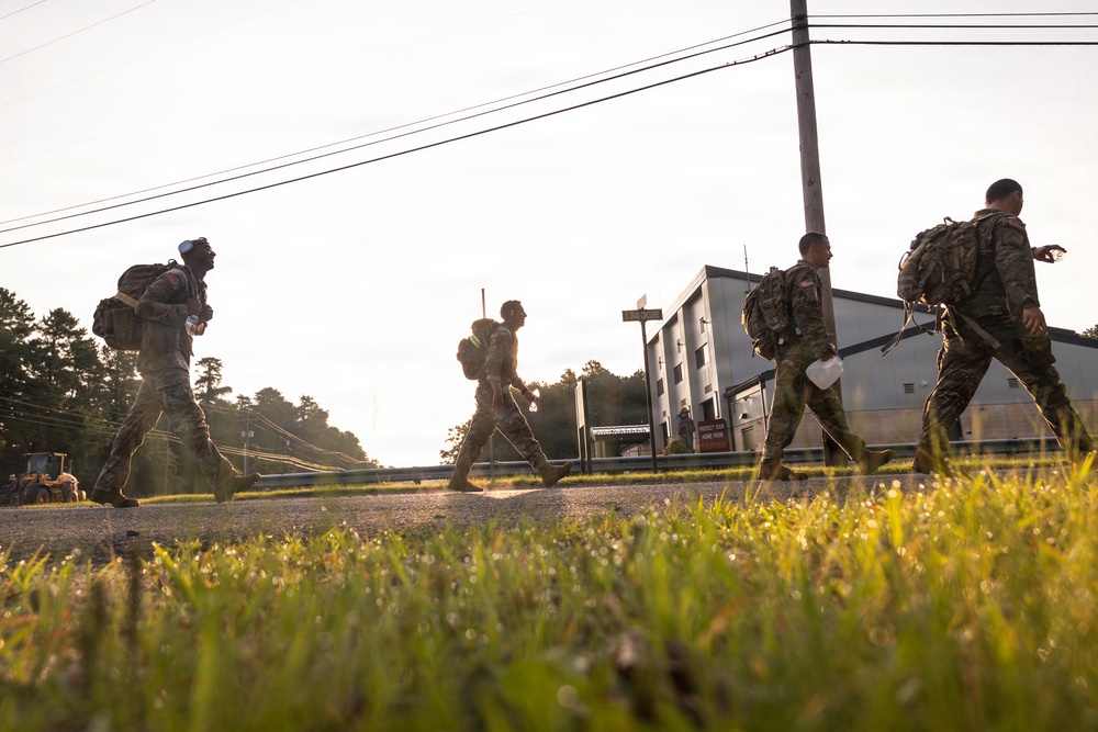 2-113th Norwegian Footmarch