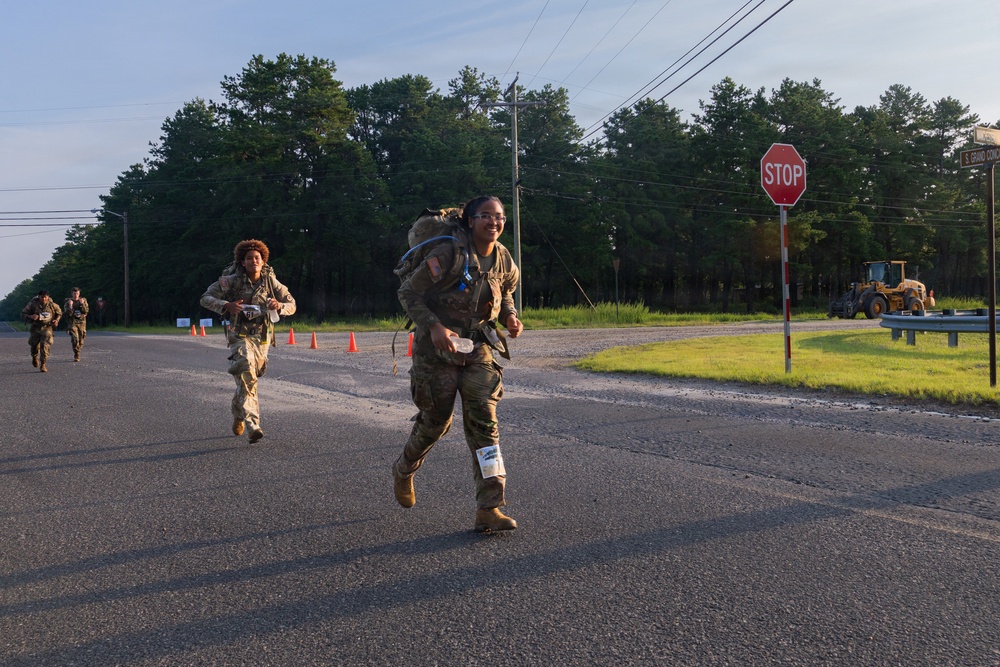 2-113th Norwegian Footmarch