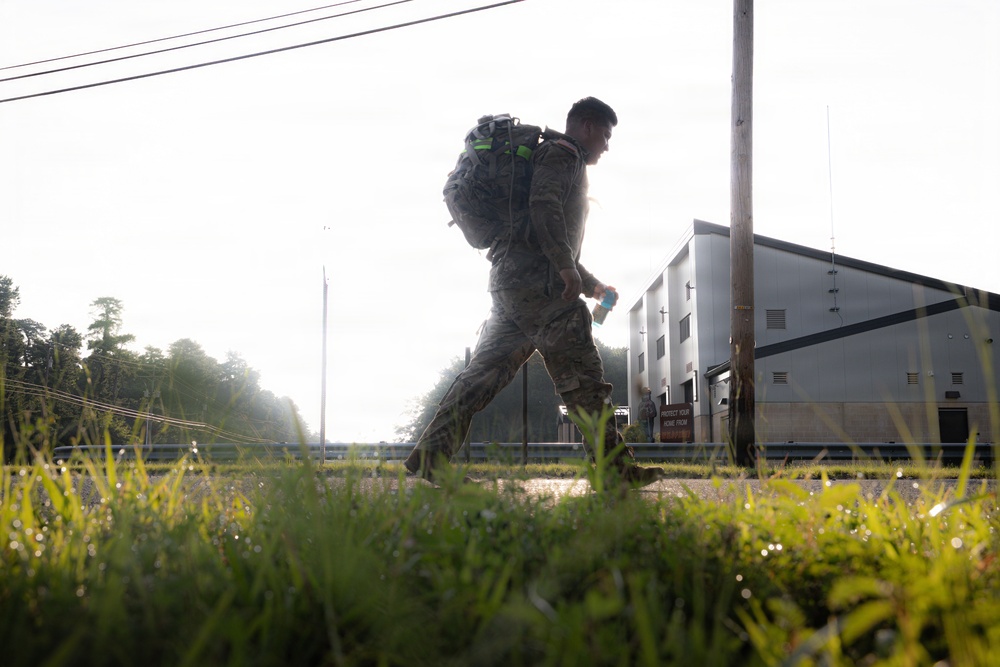 2-113th Norwegian Footmarch