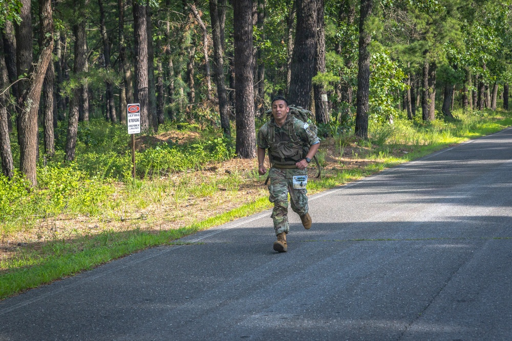 2-113th Norwegian Footmarch