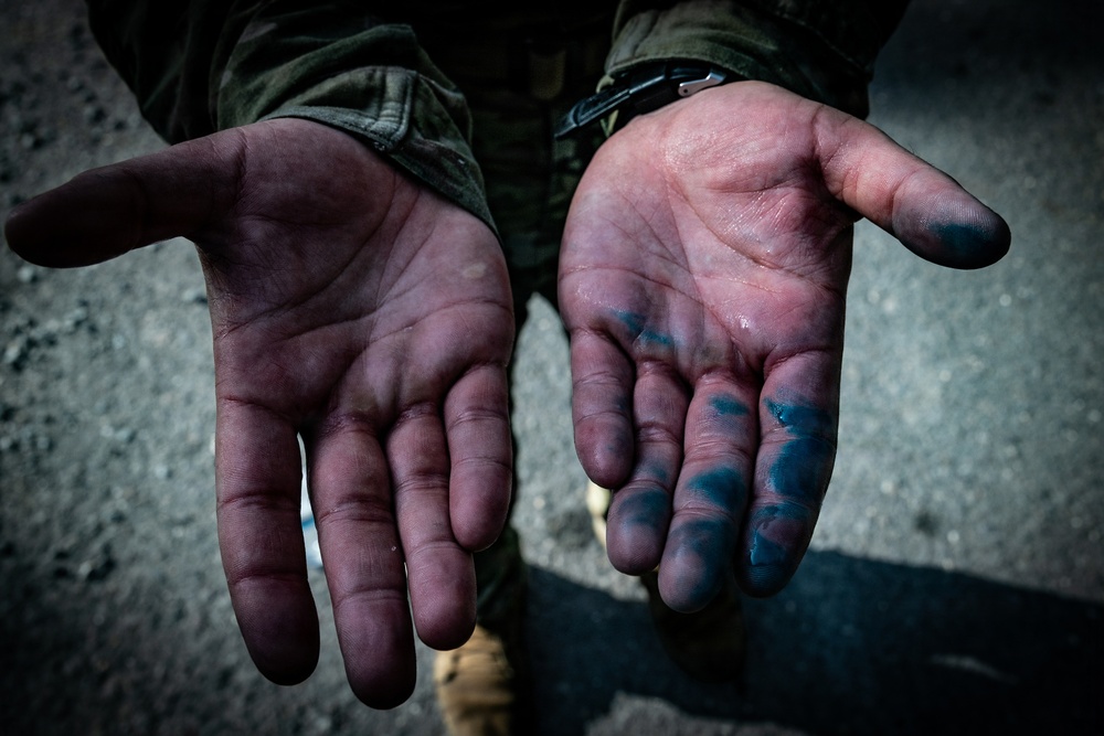 2-113th Norwegian Footmarch