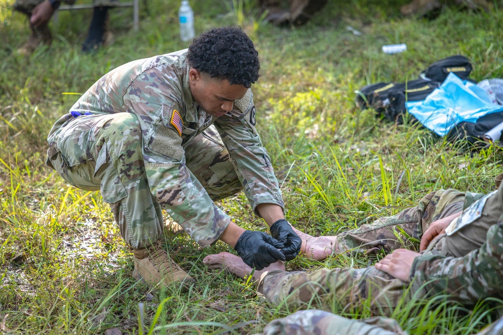 2-113th Norwegian Footmarch