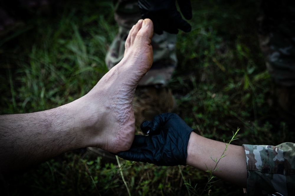 2-113th Norwegian Footmarch