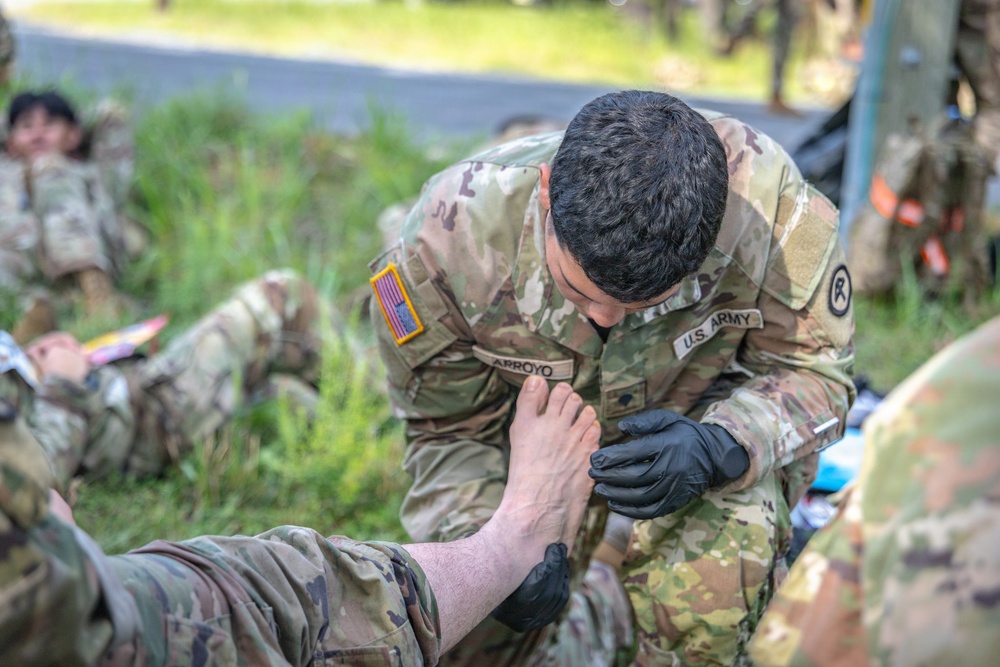 2-113th Norwegian Footmarch
