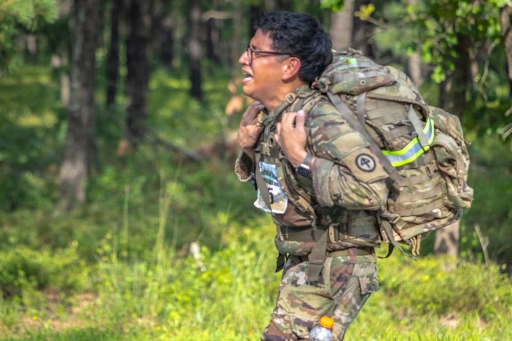 2-113th Norwegian Footmarch
