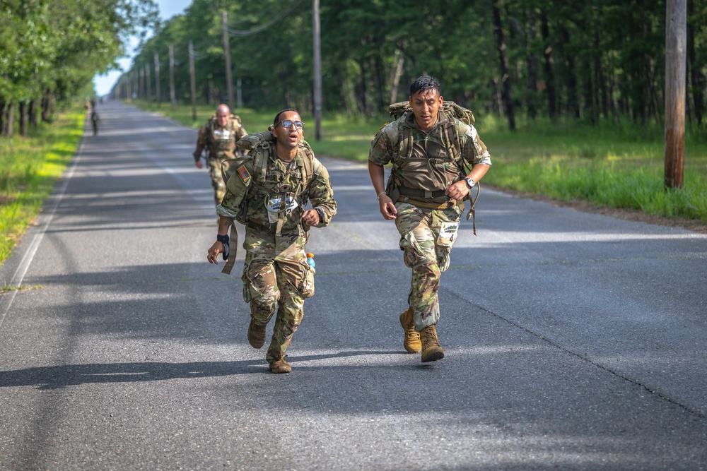 2-113th Norwegian Footmarch