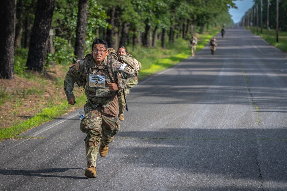 2-113th Norwegian Footmarch
