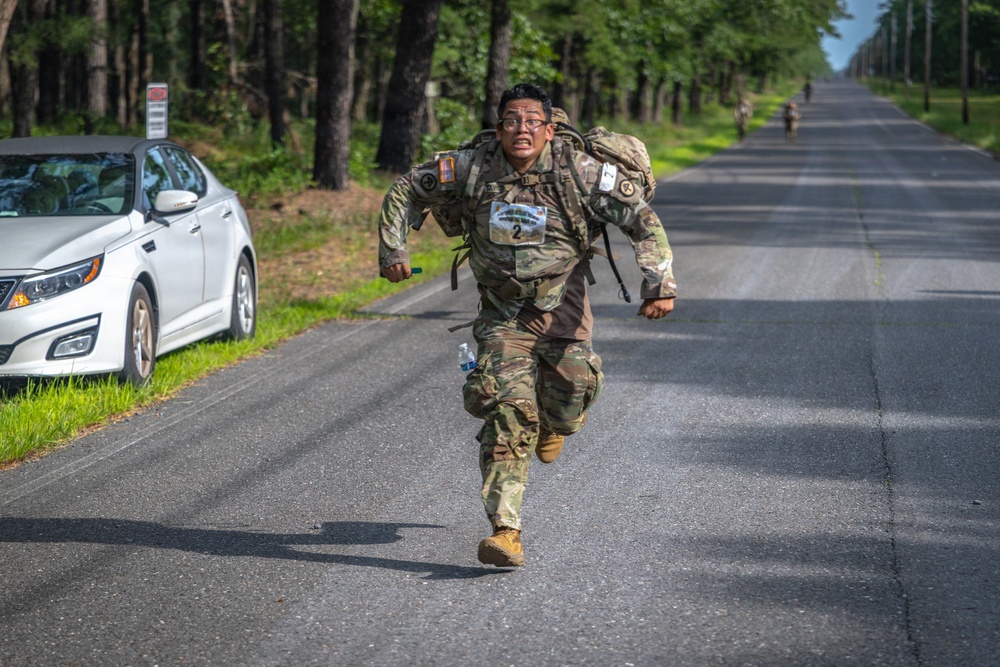 2-113th Norwegian Footmarch