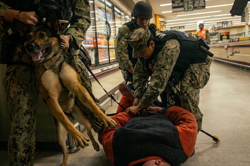 NAVSTA Mayport Conducts Security Drills