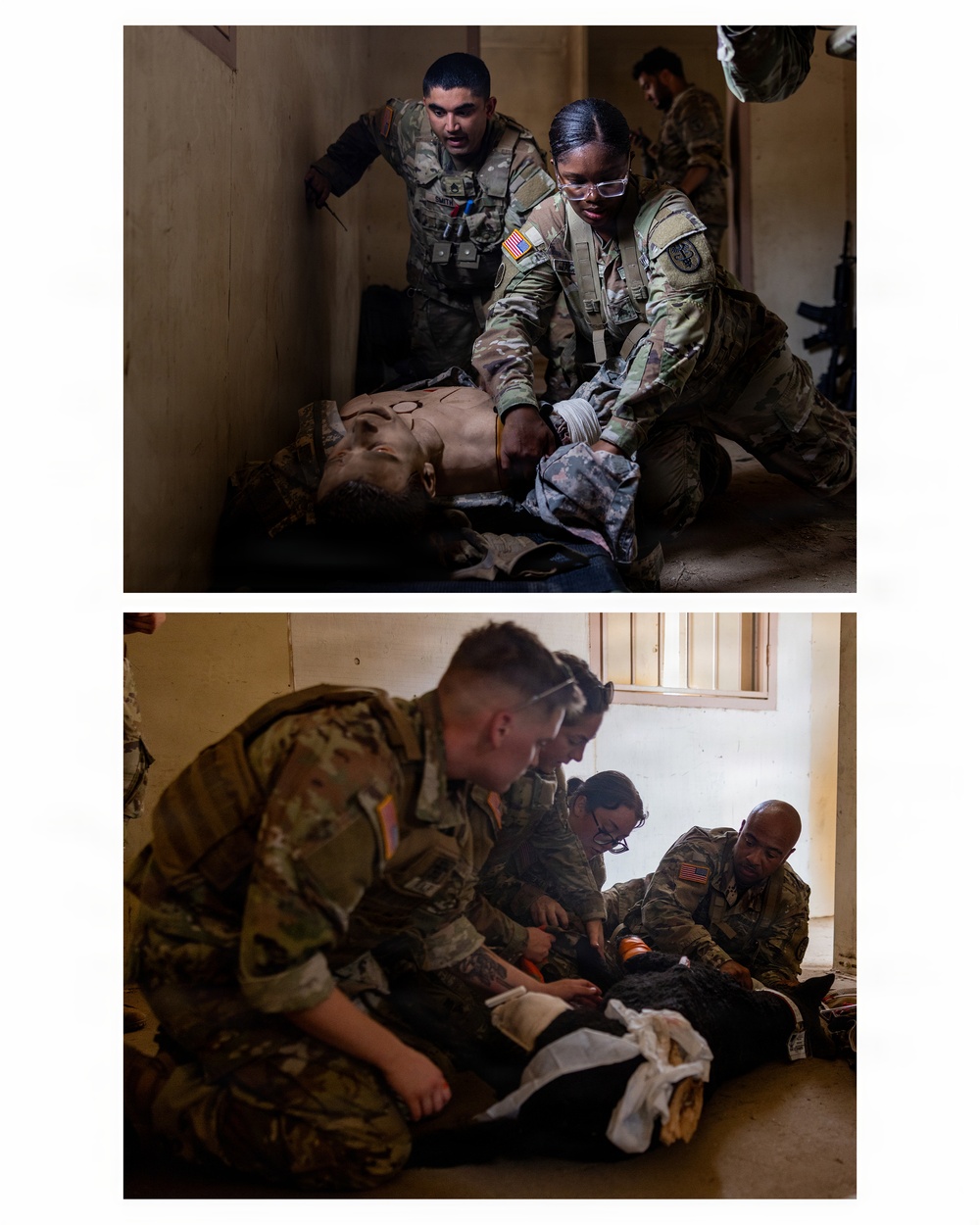 Canine TCCC Training at MCB Camp Pendleton