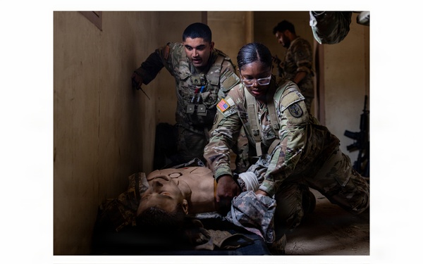 Canine TCCC Training at MCB Camp Pendleton