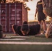 335th Signal Command (Theater) soldiers conduct the Army Fitness Test