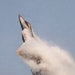 F-22 Demonstration Team performs for 2026 Chicago Air and Water Show