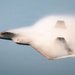 F-22 Demonstration Team performs for 2026 Chicago Air and Water Show