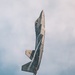 F-22 Demonstration Team performs for 2026 Chicago Air and Water Show