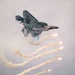 F-22 Demonstration Team performs for 2026 Chicago Air and Water Show