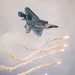 F-22 Demonstration Team performs for 2026 Chicago Air and Water Show