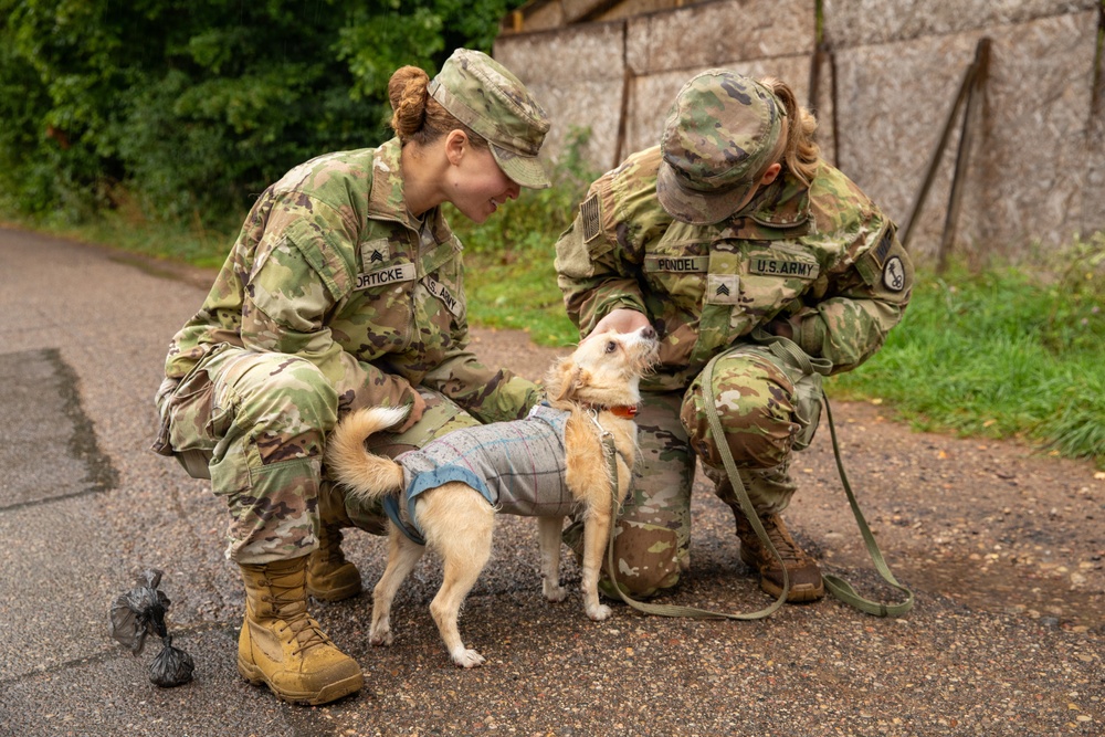 Two U.S. Army soldiers in OCP (Operational Camouflage Pattern) uniforms are crouching down to interact with a small light-colored dog wearing a gray/blue vest or coat. The soldier on the right, identified by name tape as 'PONDEL' with a Sergeant rank, holds a green leash attached to the dog, while the soldier on the left, identified as 'ORTICKE', pets the animal. The scene takes place on a paved outdoor surface near vegetation and a wall.