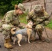Two U.S. Army soldiers in OCP (Operational Camouflage Pattern) uniforms are crouching down to interact with a small light-colored dog wearing a gray/blue vest or coat. The soldier on the right, identified by name tape as 'PONDEL' with a Sergeant rank, holds a green leash attached to the dog, while the soldier on the left, identified as 'ORTICKE', pets the animal. The scene takes place on a paved outdoor surface near vegetation and a wall.