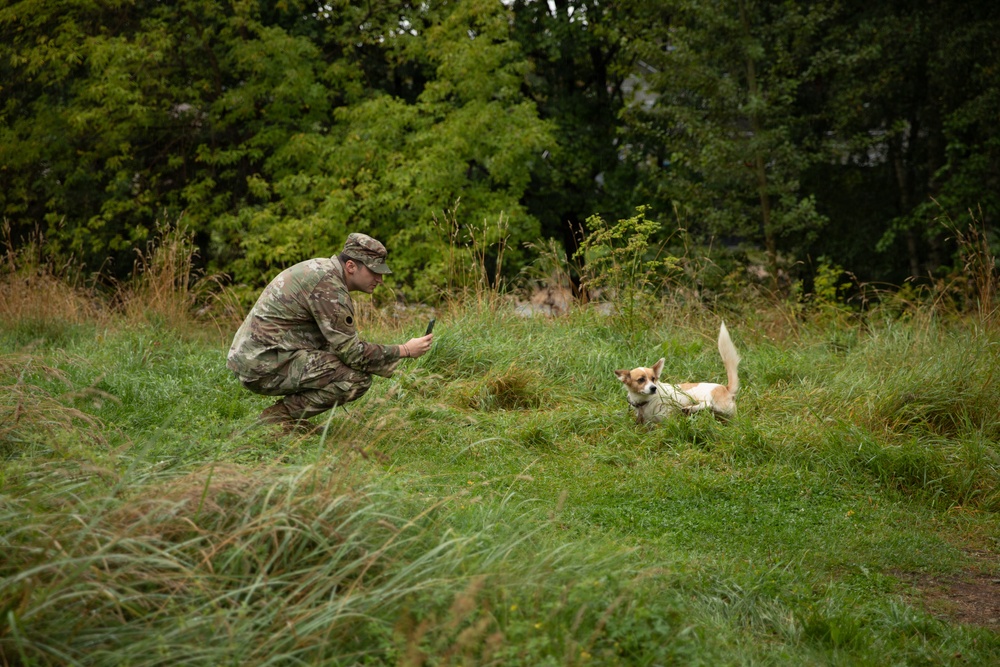 A person wearing military camouflage uniform and cap is crouching in a grassy outdoor area, using a smartphone to photograph or interact with a small tan and white dog. The dog appears to be a Corgi or similar small breed, with its tail raised and ears alert. The setting is a natural, overgrown field with dense green trees in the background.