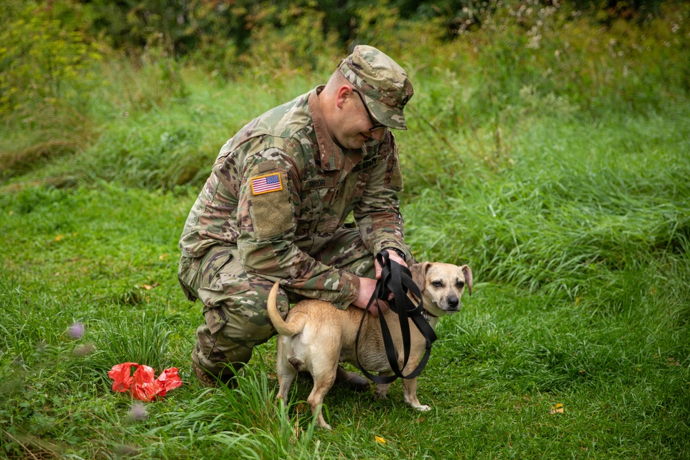 A U.S. Army soldier in MultiCam (OCP) camouflage uniform is crouched down on grass attending to a small tan/beige dog on a black leash. The soldier is wearing a patrol cap and has a U.S. flag patch visible on the left sleeve. A red object, possibly a bag or wrapper, is visible on the ground nearby.