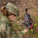 A female military service member in MultiCam/OCP camouflage uniform is crouching down to interact with a small black and tan dog wearing a pink harness. The dog appears to be sniffing or taking something from the service member's outstretched hand. The scene takes place outdoors on a path with scattered autumn leaves.