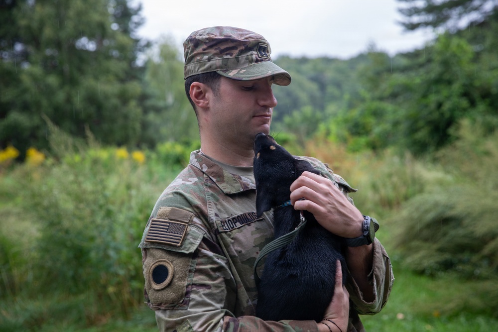 A U.S. Army soldier in OCP (Operational Camouflage Pattern) uniform is holding a small black cat or kitten in an outdoor, vegetated setting. The soldier is looking down at the animal with a calm expression. The background consists of lush green foliage and overcast skies.