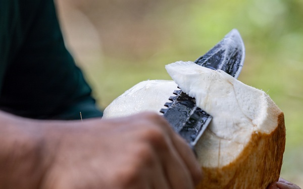 MRF-D Marines participate in jungle survival exchange