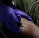 2nd Medical Battalion Certification Exercise