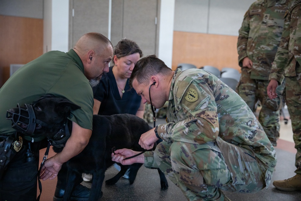 A U.S. Army soldier in OCP (Operational Camouflage Pattern) uniform is using a stethoscope to examine a black dog wearing a muzzle, likely a military or police working dog. A civilian handler wearing a badge and a woman in dark scrubs assist in holding the dog during the examination. Additional uniformed military personnel are visible in the background.
