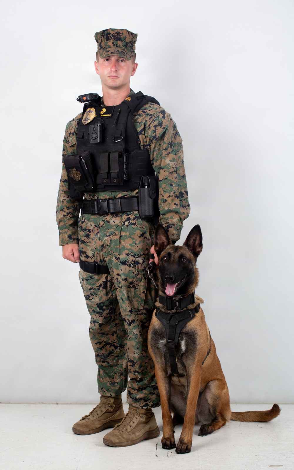 A U.S. Marine in MARPAT woodland digital camouflage uniform stands in a formal portrait pose with a military working dog, likely a Belgian Malinois. The Marine is wearing a tactical vest with a badge, body camera, and other law enforcement equipment, indicating a Military Police or K-9 handler role. The dog is seated beside the handler wearing a black tactical harness.
