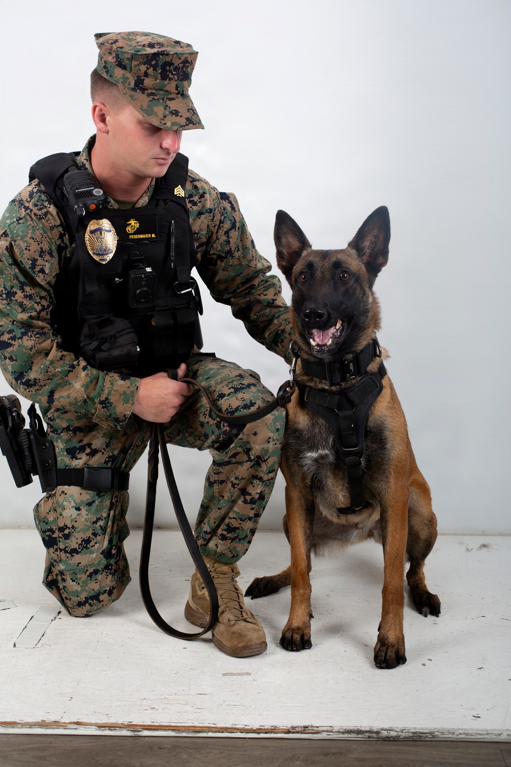 A U.S. Marine Corps Military Police Sergeant, identified by name tape as 'Fesenmaier M.', poses in a studio-style portrait with a Belgian Malinois K9 partner. The Marine is wearing MARPAT digital camouflage utilities, a tactical vest with a gold law enforcement badge, and holds the dog's leash. The K9 is fitted with a black tactical harness and sits attentively beside the handler.