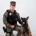 A U.S. Marine Corps Military Police sergeant in MARPAT digital camouflage uniform kneels beside a Belgian Malinois military working dog. The Marine is wearing a tactical vest with a badge, name tape reading 'FESENMAIER M.', and is armed with a sidearm. The dog is wearing a tactical harness and leash and has its mouth open in an alert/barking posture.