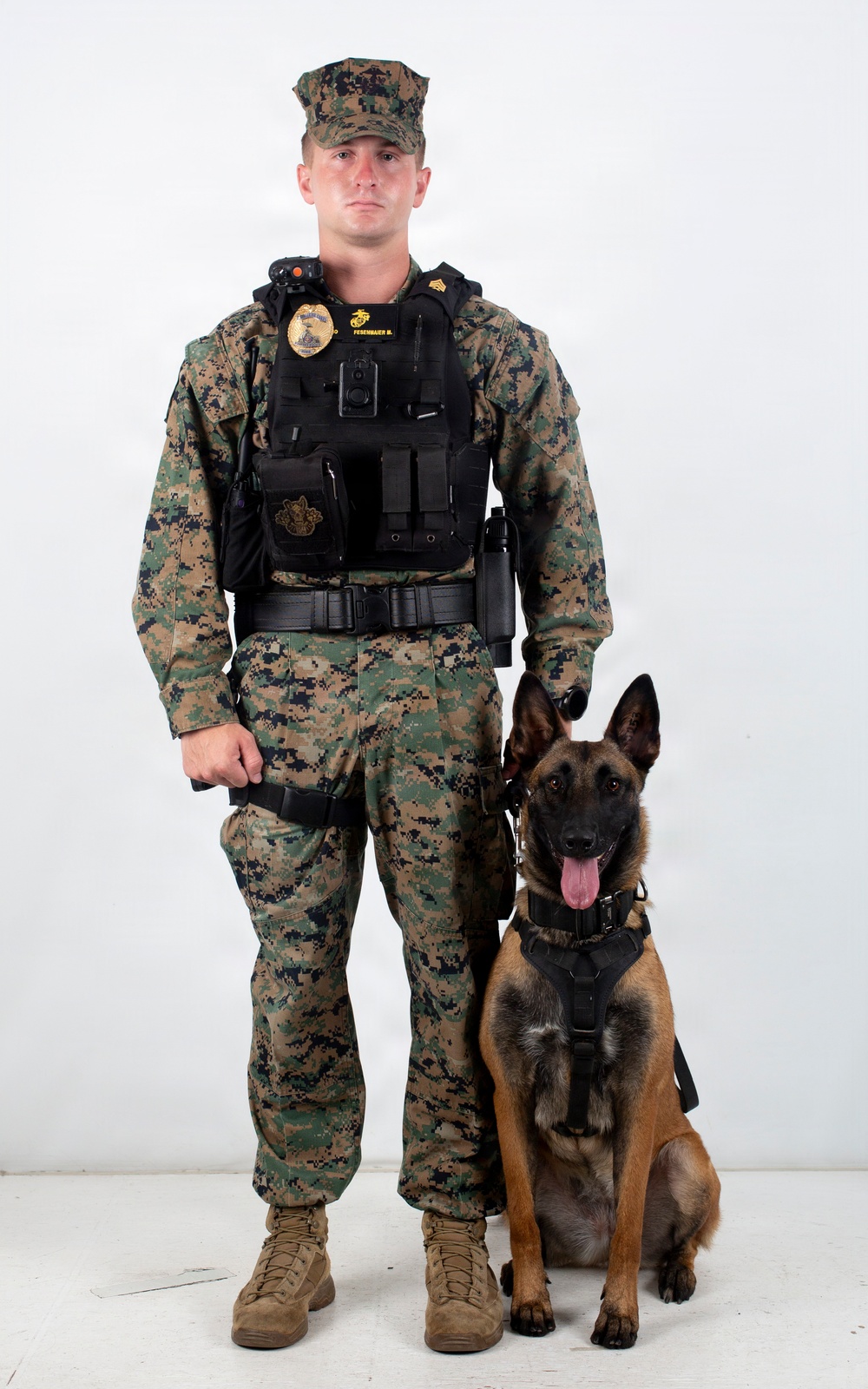 A U.S. Marine in MARPAT woodland digital camouflage uniform stands at attention alongside a Belgian Malinois military working dog. The Marine is wearing a tactical plate carrier vest with a badge, name tape reading 'FESENMAYER', and a body camera, indicating a military police or provost marshal role. The dog is seated in a black tactical harness, suggesting this is an official K-9 unit portrait.