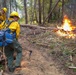 WAANG supports firefighting operations at Little Giant Fire