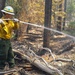 WAANG supports firefighting operations at Little Giant Fire