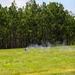A small unmanned aerial vehicle (UAV/drone) appears to be landing or crashing in an open grassy field, generating a visible smoke trail behind it. The scene is set against a backdrop of tall pine trees under a partly cloudy sky. The smoke and disturbed vegetation suggest a recent impact or controlled landing with propulsion activity.
