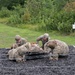 Litter Obstacle Course at Fort McCoy WI.